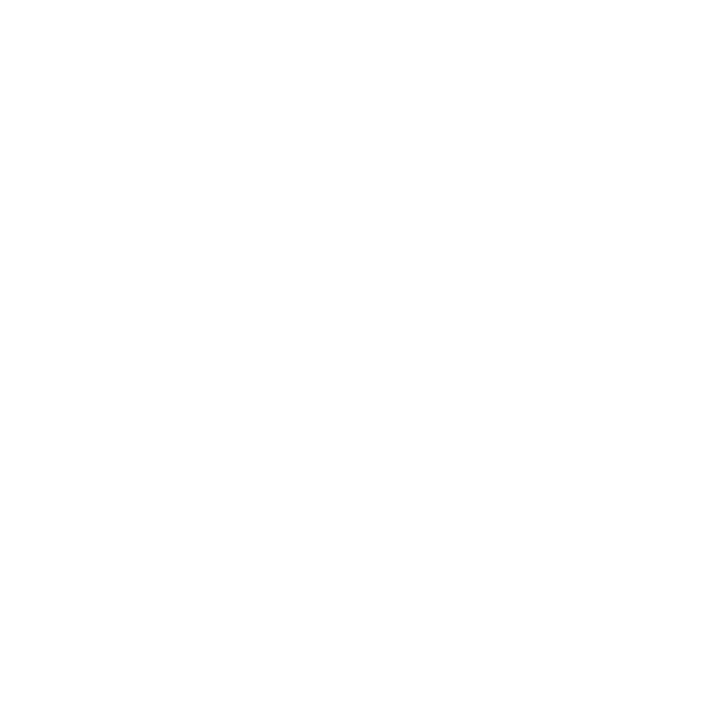 A light grey, italicised letter „R“ on a plain white background – ideal for private party invitations or as an elegant accent for a wedding venue.